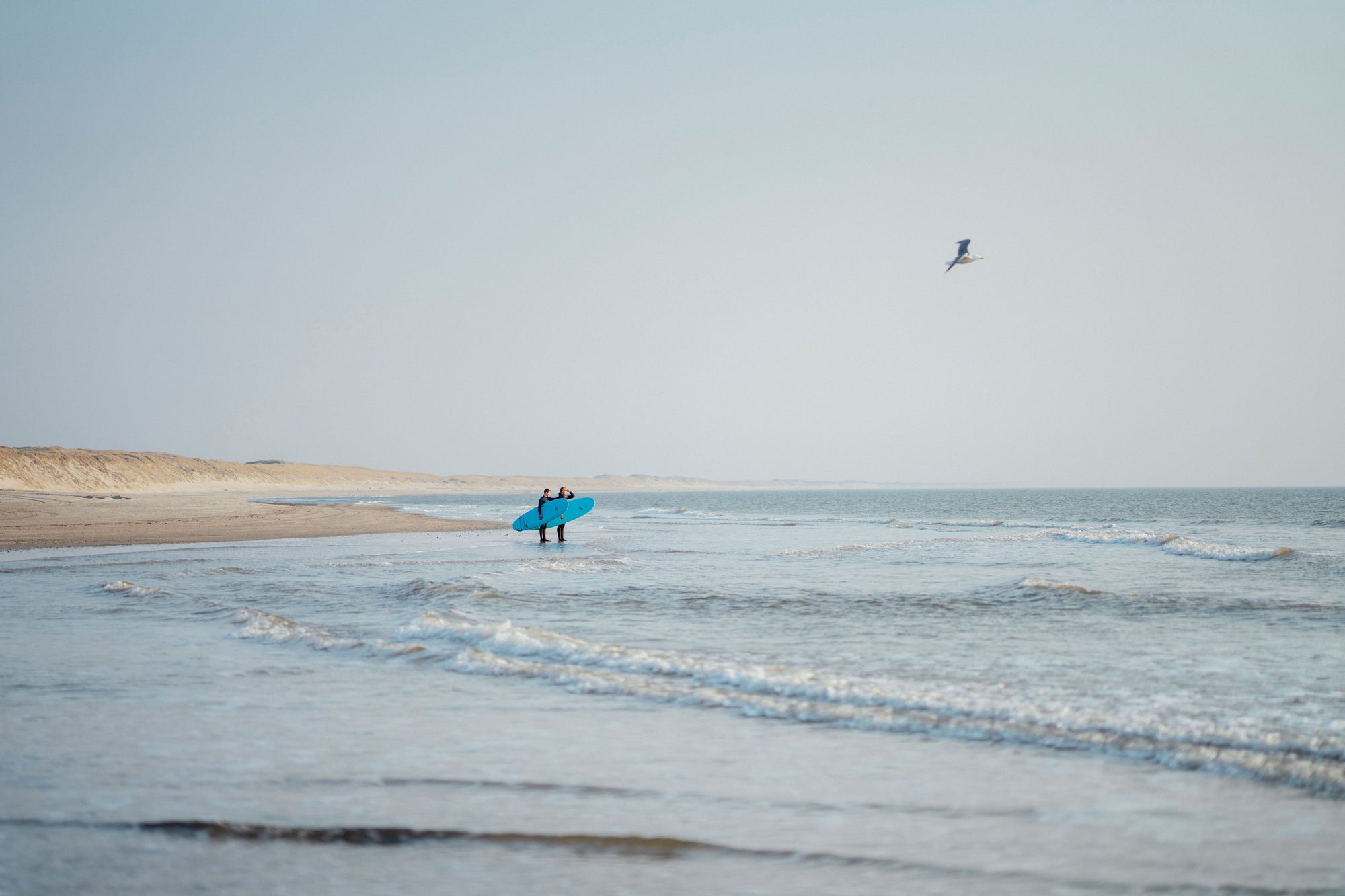 Surfbrettverleih Hvide Sande – Verleih von Vision-Boards und Neoprenanzügen am Flynder Point